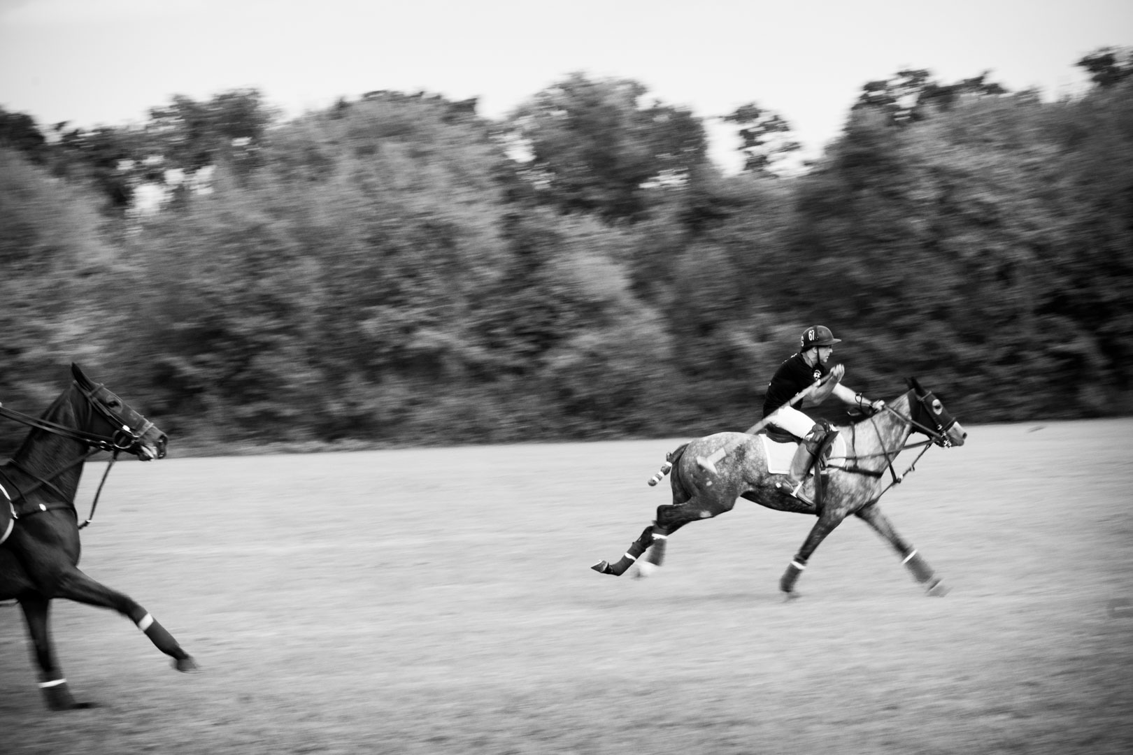 La Martina Polo event | Reportage fotografico