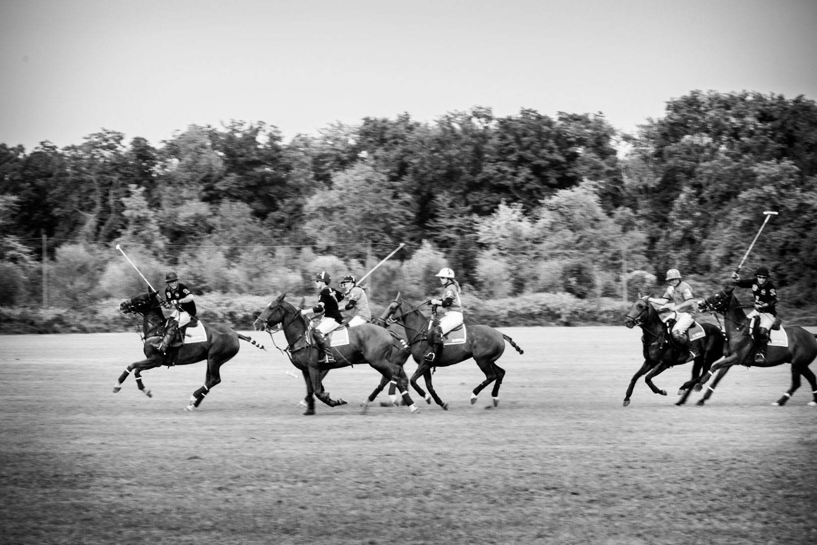 La Martina Polo event | Reportage fotografico