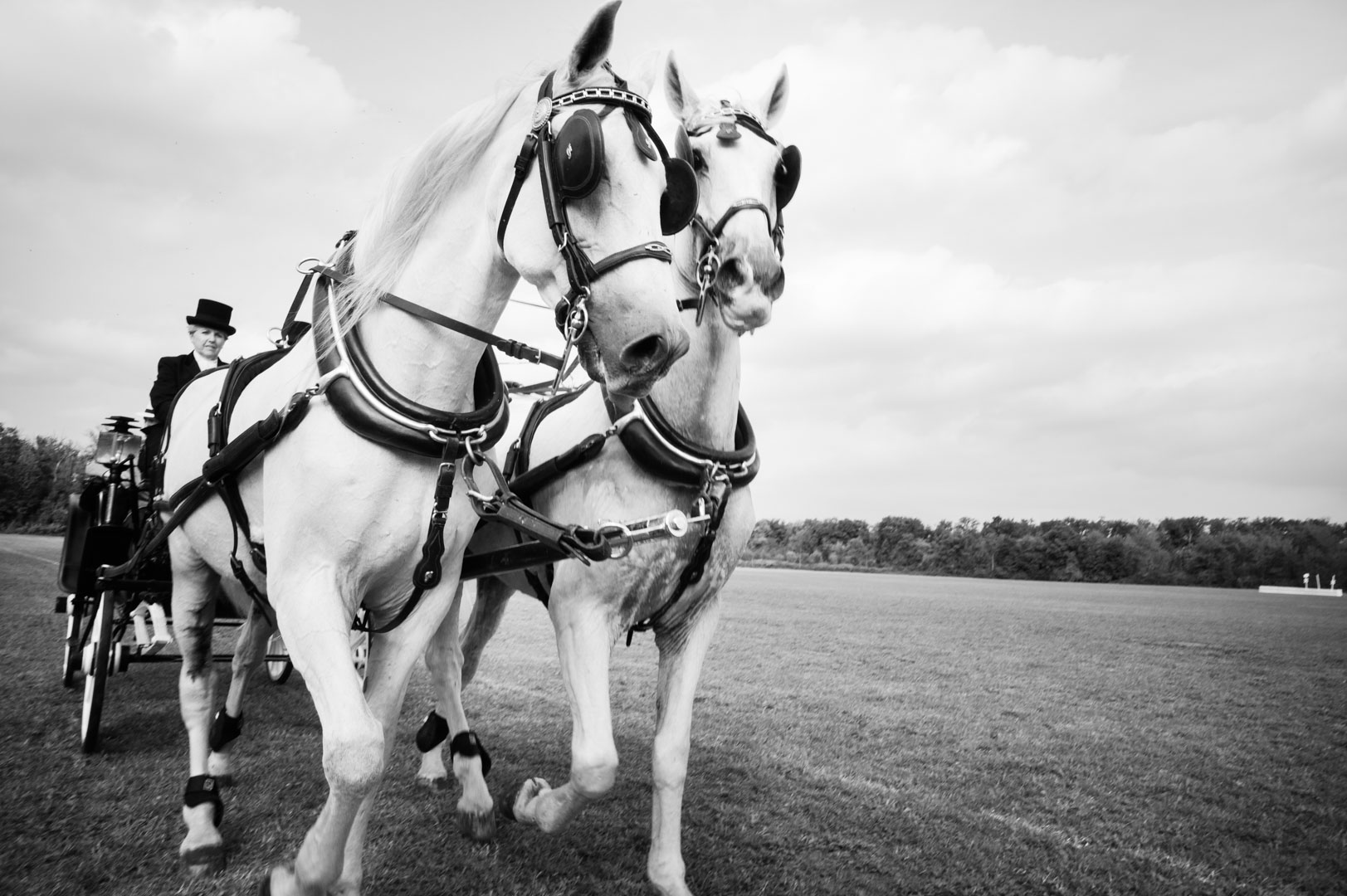 La Martina Polo event | Reportage fotografico