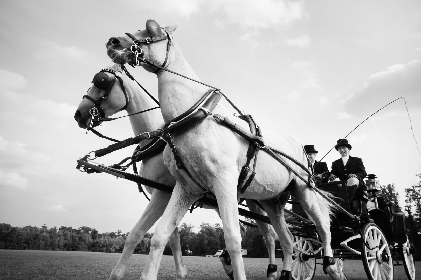 La Martina Polo event | Reportage fotografico